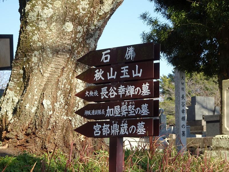 画像を等倍で表示します 画像