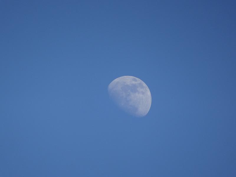 画像を等倍で表示します 画像