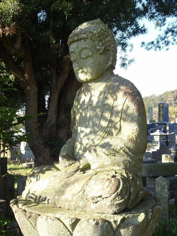 画像を等倍で表示します 画像