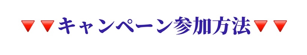 f:id:kumajuken:20190408042947j:image