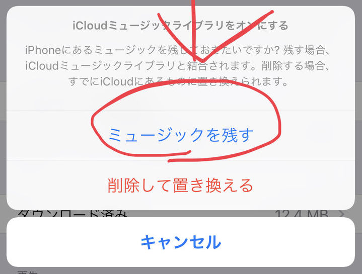 f:id:kumakazu12:20190202145340j:plain