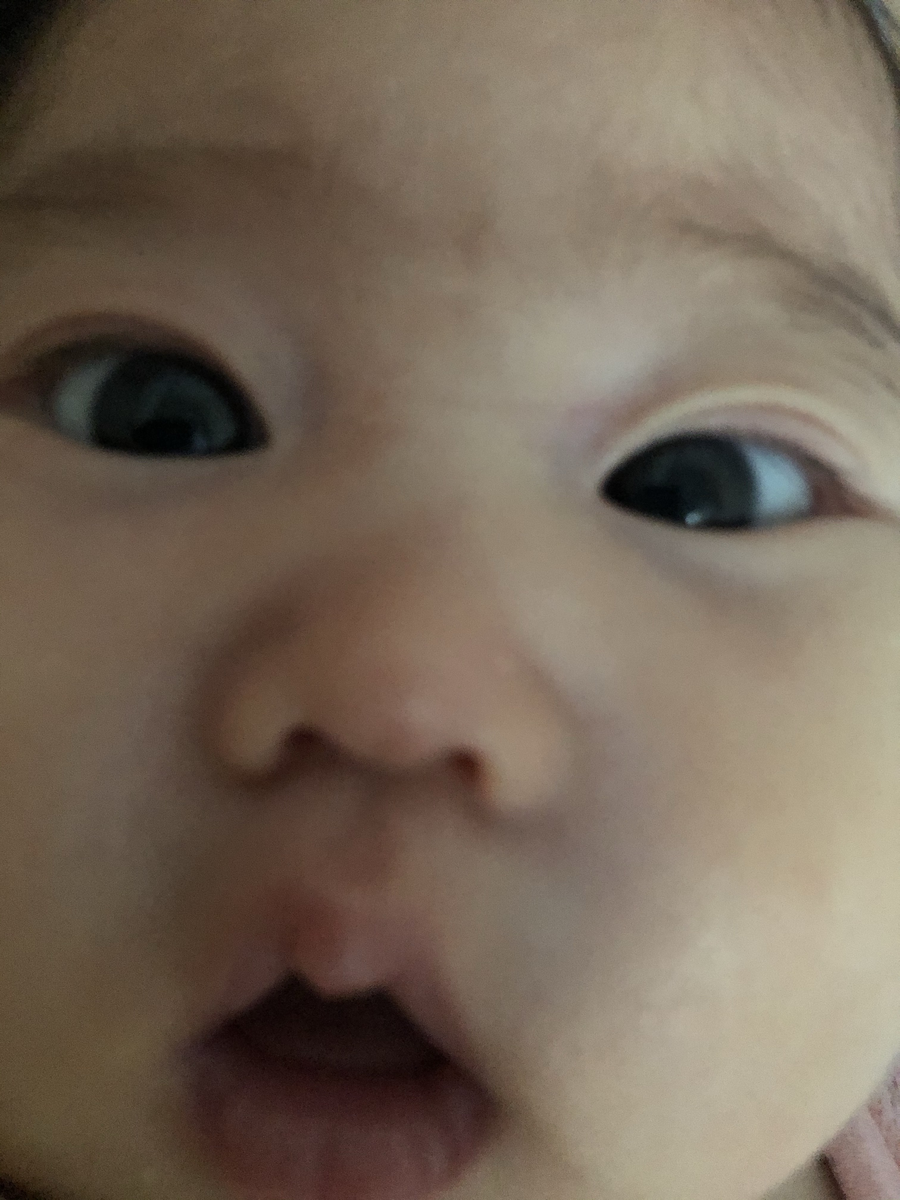 f:id:kumakolog:20200719233628p:plain