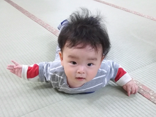 思い出クラッシュ 飛び級で技を覚える息子くん くまくまさんの時間は魔法だね