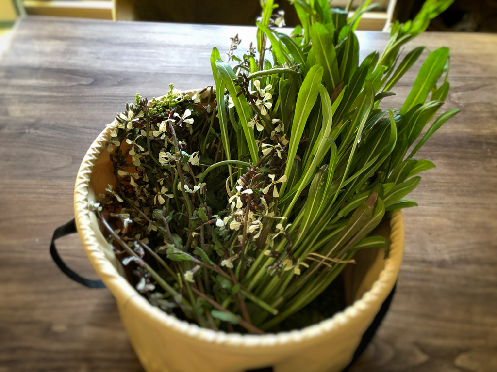 f:id:kumakumakoara:20180310180409j:plain