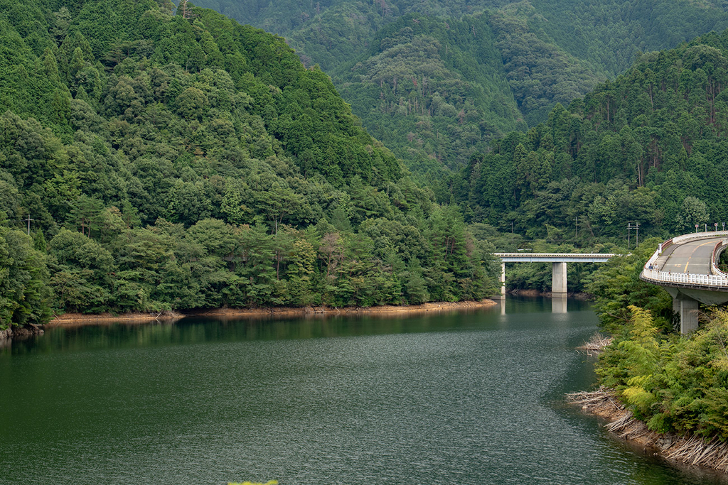 f:id:kumakumakoara:20180903211341j:plain