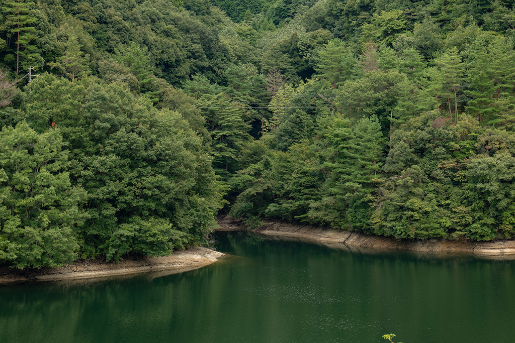 f:id:kumakumakoara:20180903211416j:plain