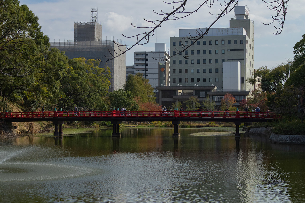 f:id:kumakumakoara:20181110155028j:plain f:id:kumakumakoara:20181110155028j:plain