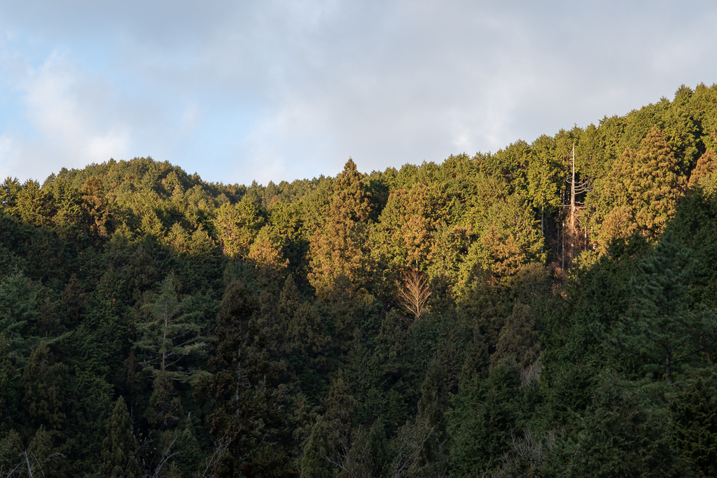 金剛山