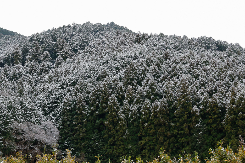 雪山