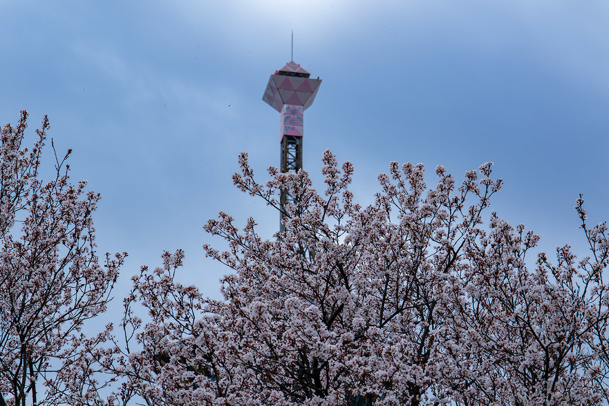 鶴見緑地公園