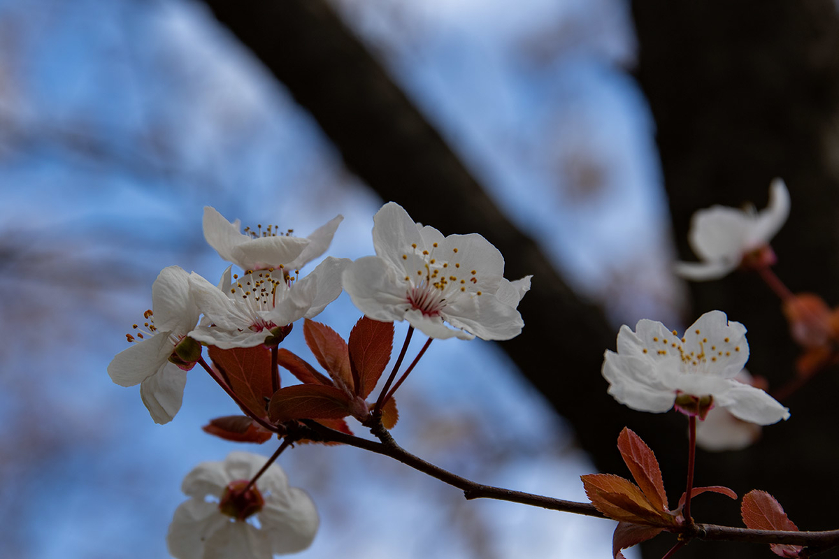 鶴見緑地公園