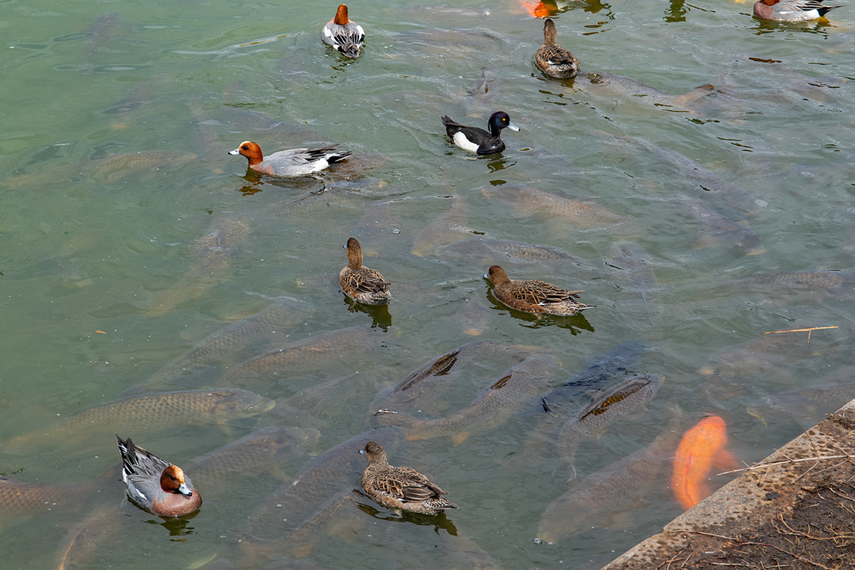 鶴見緑地公園