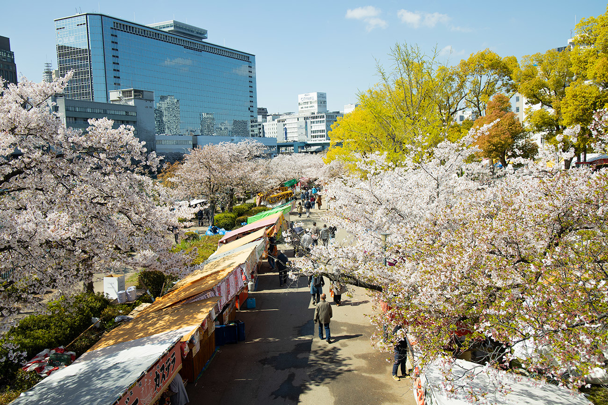 造幣局の桜の通り抜け