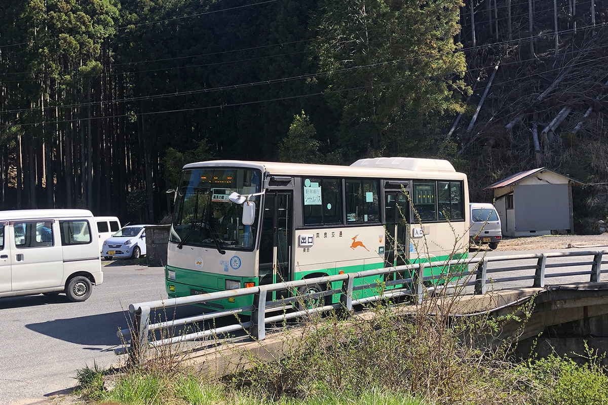 東吉野村高見の郷、1000本のしだれ桜