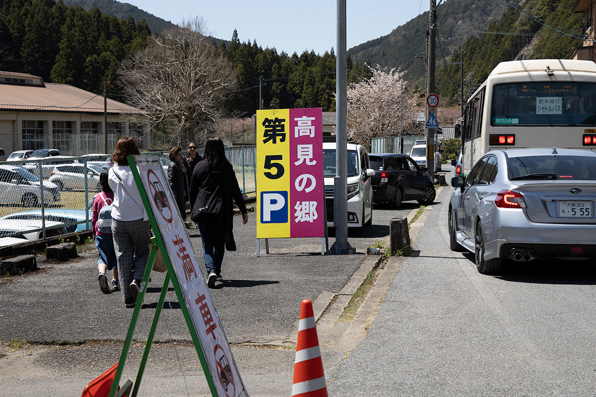 東吉野村高見の郷、1000本のしだれ桜