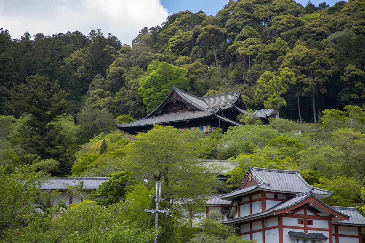 奈良県長谷寺