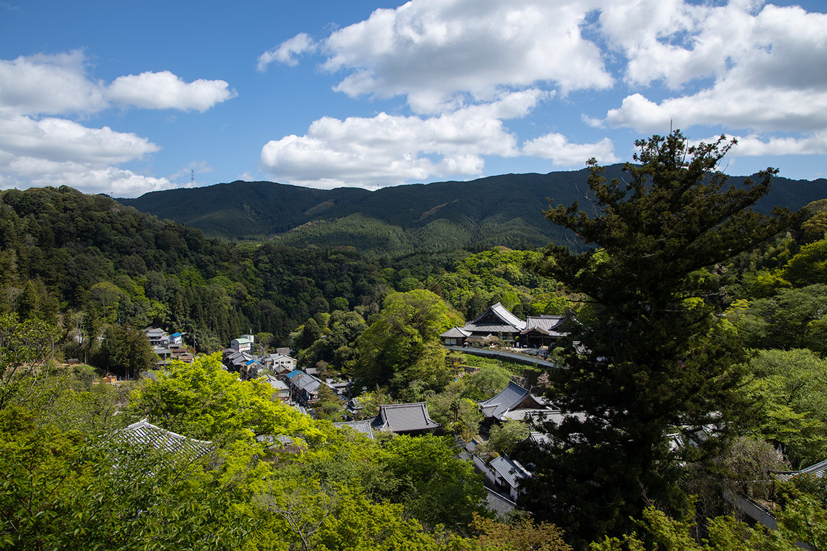 奈良県長谷寺