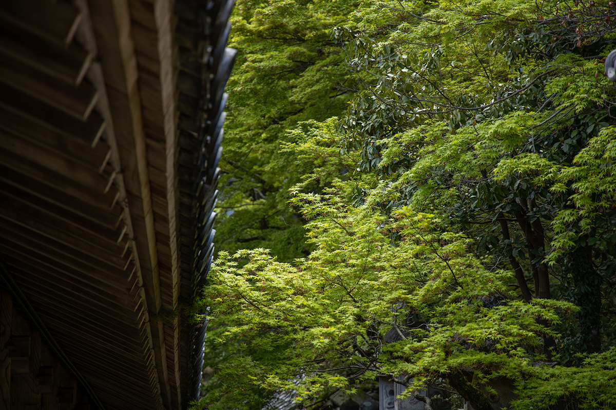 奈良県長谷寺