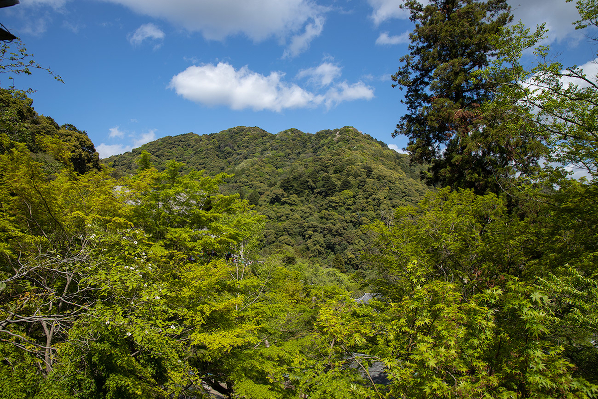 奈良県長谷寺