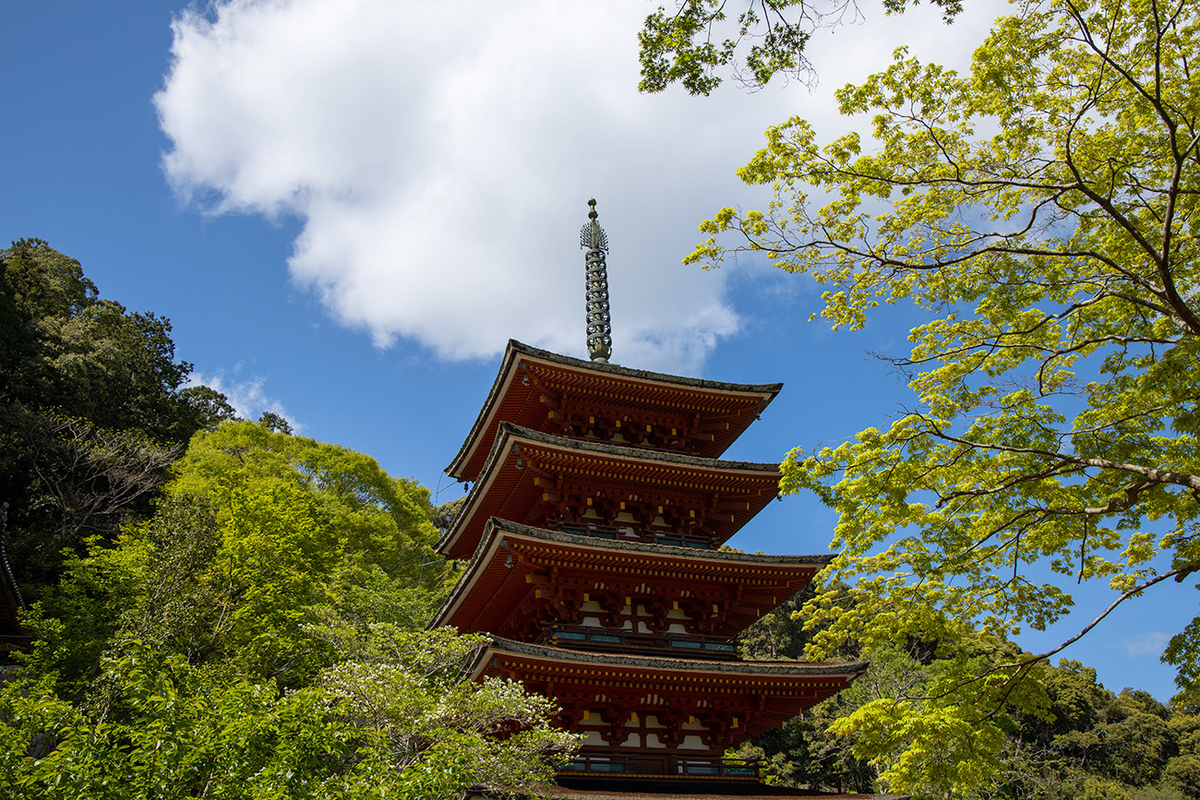 奈良県長谷寺