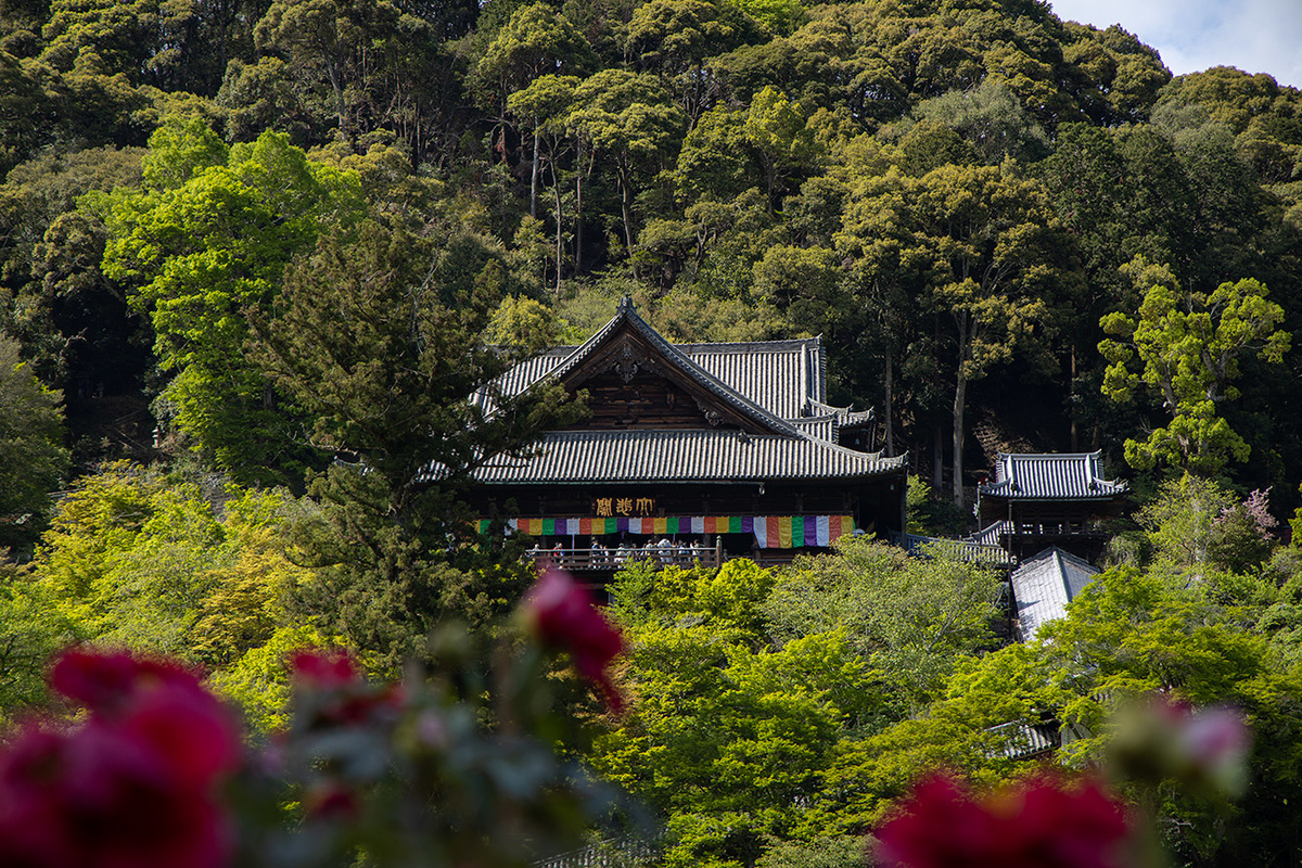 奈良県長谷寺