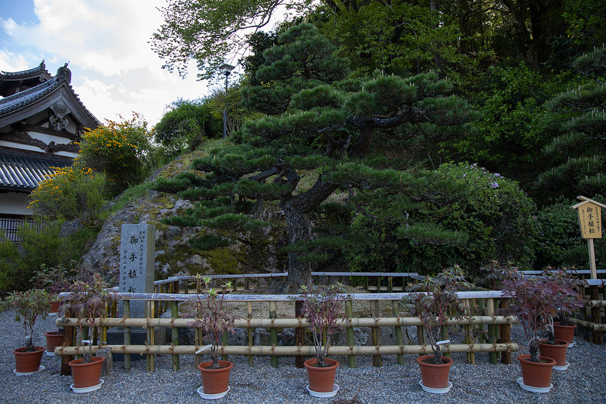 奈良県長谷寺