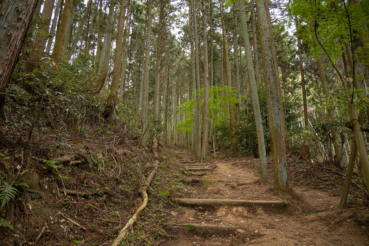 日本最強の城、高取城跡
