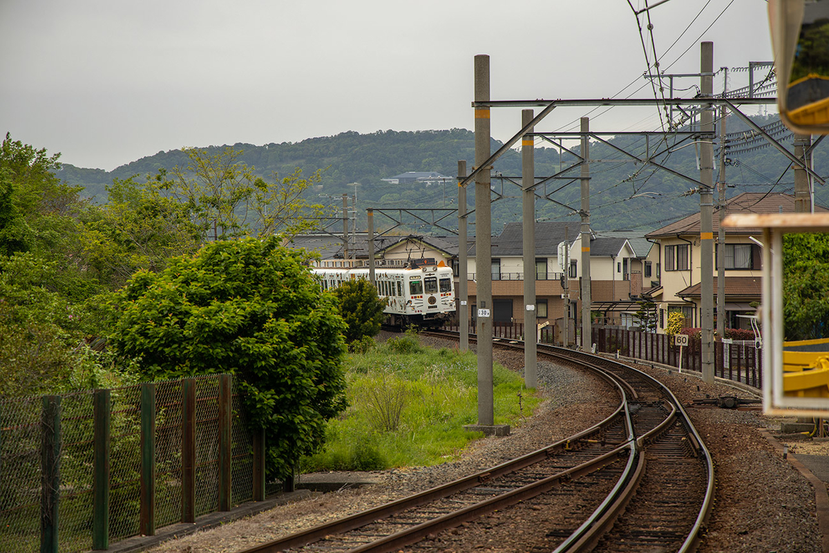 和歌山鐡道貴志駅へねこ駅長ニタマに会いに