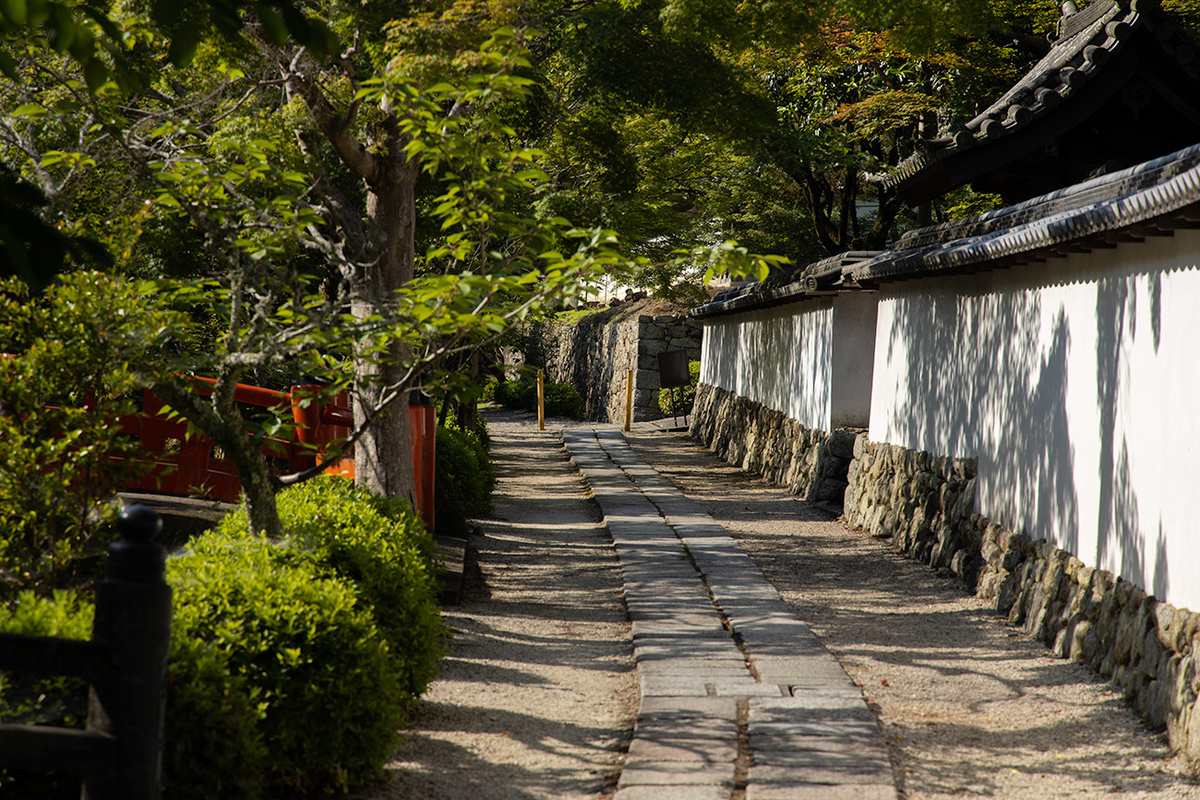 天野金剛寺