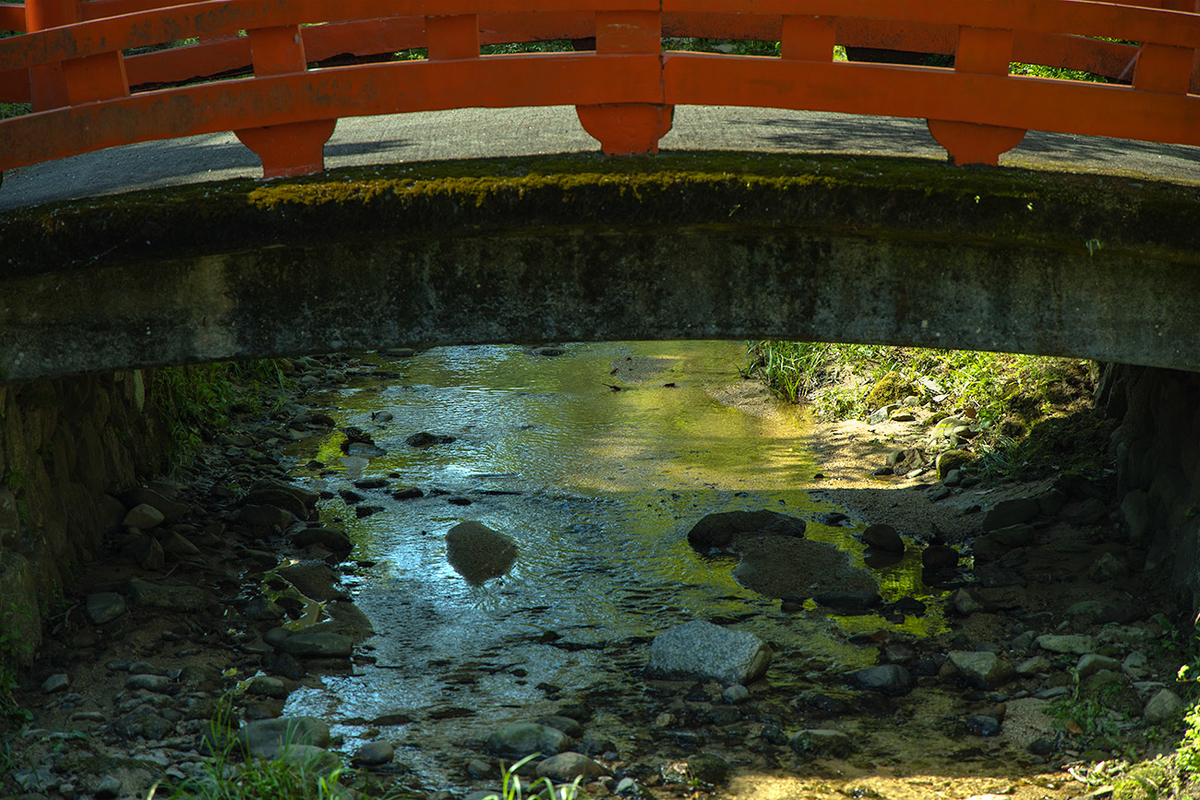 天野山金剛寺