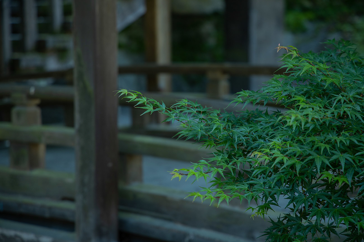 天野山金剛寺