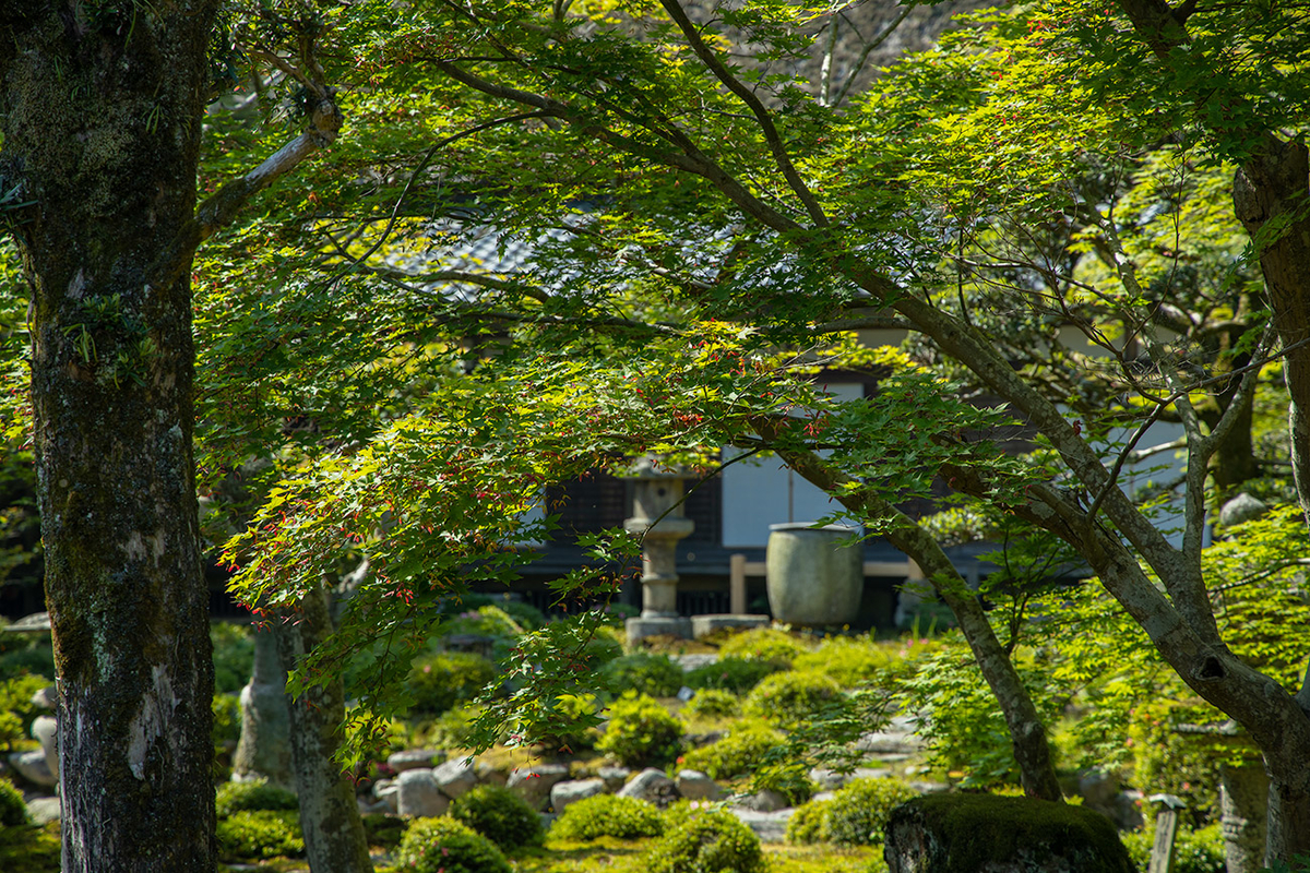 天野山金剛寺