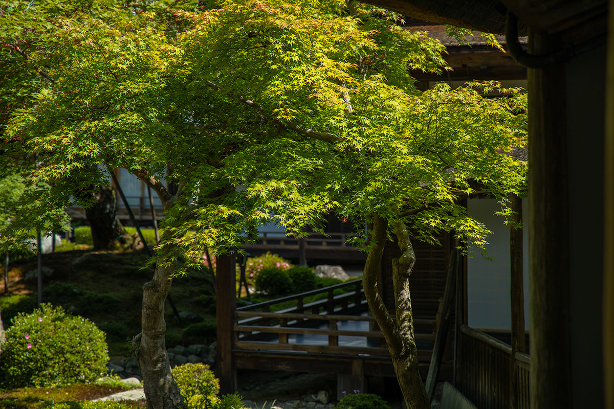 天野山金剛寺