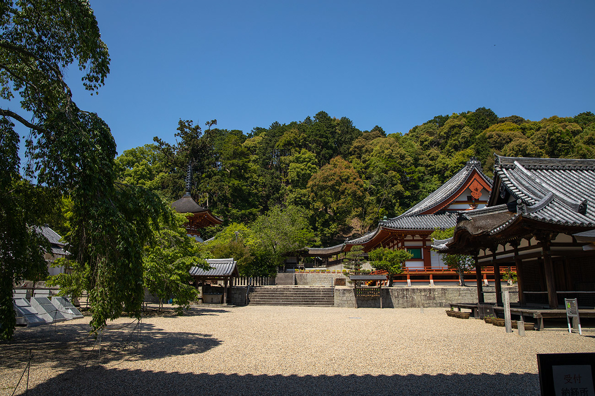 天野山金剛寺