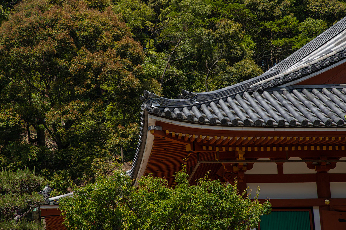 天野山金剛寺