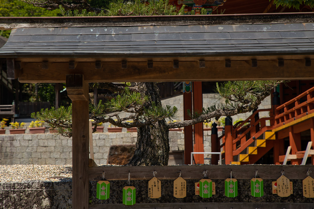 天野山金剛寺