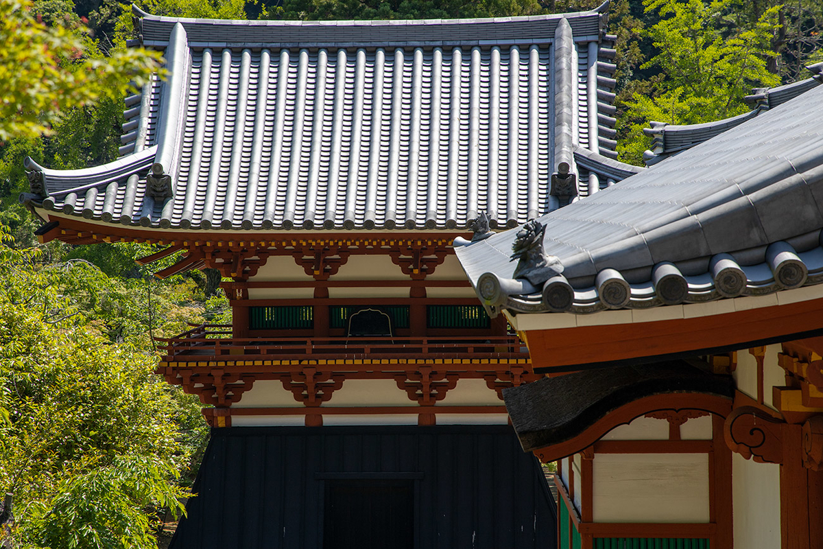 天野山金剛寺