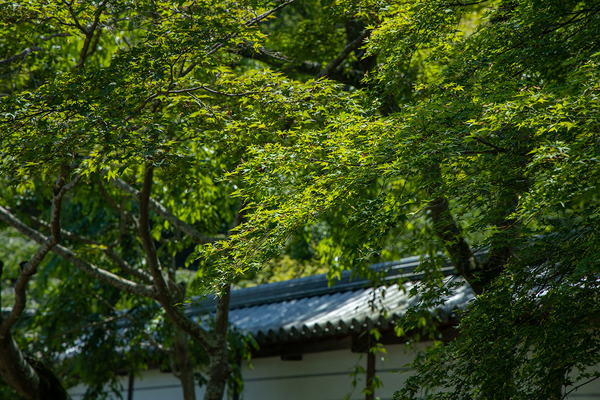 天野山金剛寺