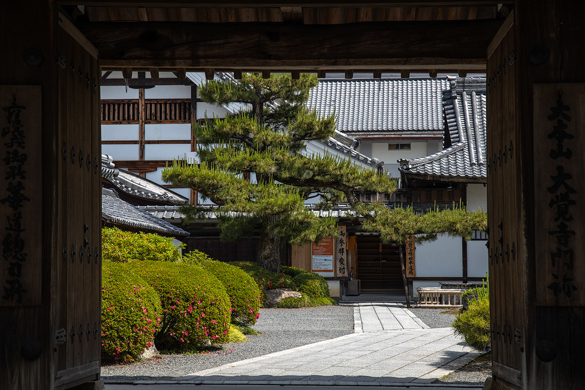 京都嵯峨野大覚寺（旧嵯峨御所）