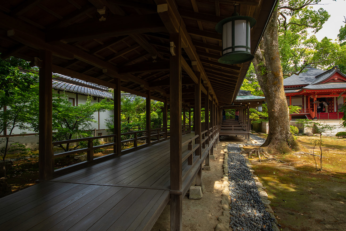 京都嵯峨野大覚寺（旧嵯峨御所）