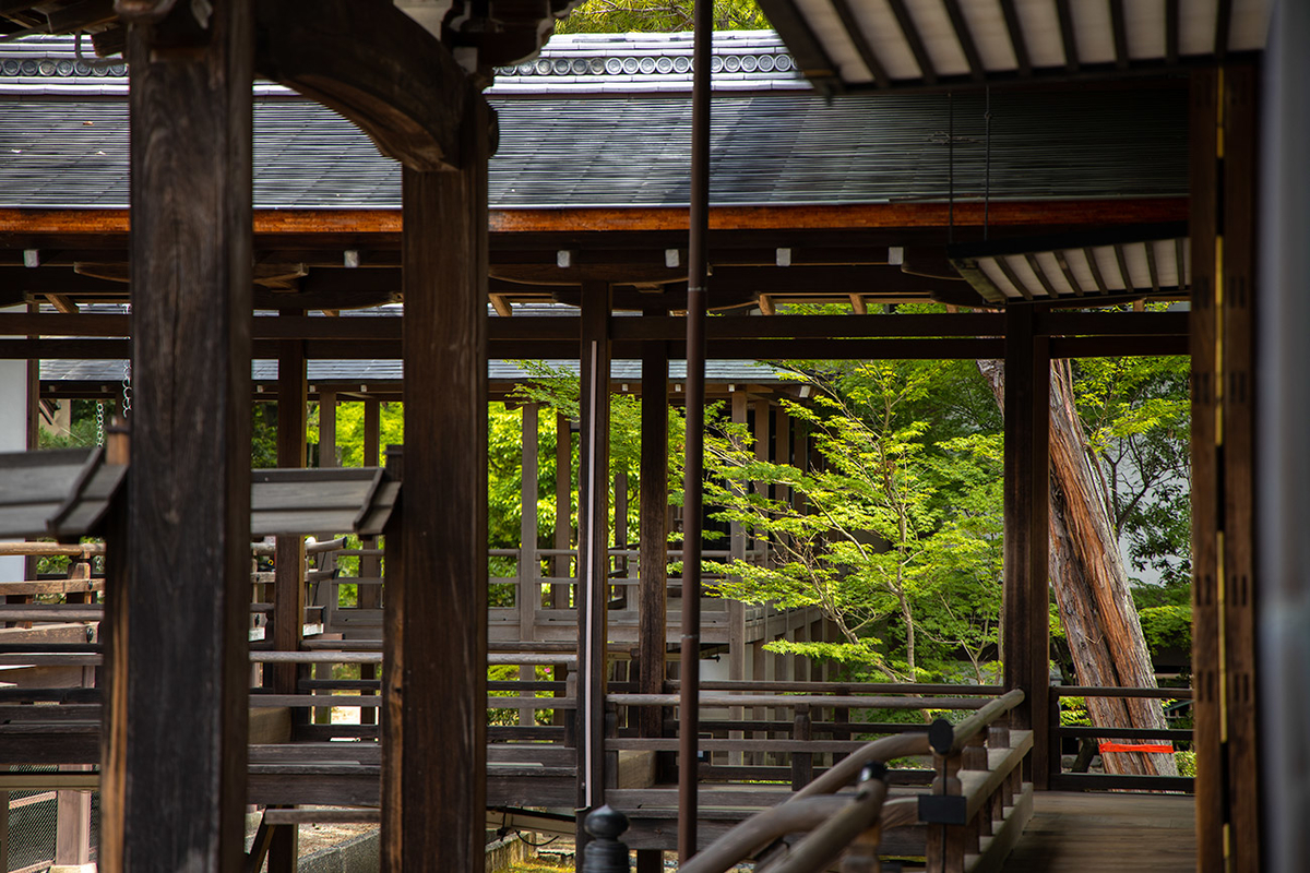 京都嵯峨野大覚寺（旧嵯峨御所）