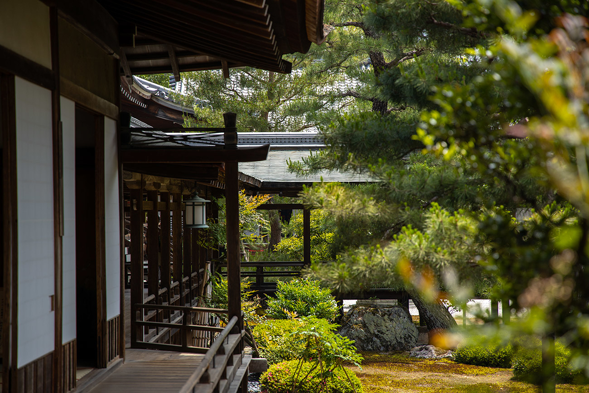 京都嵯峨野大覚寺（旧嵯峨御所）