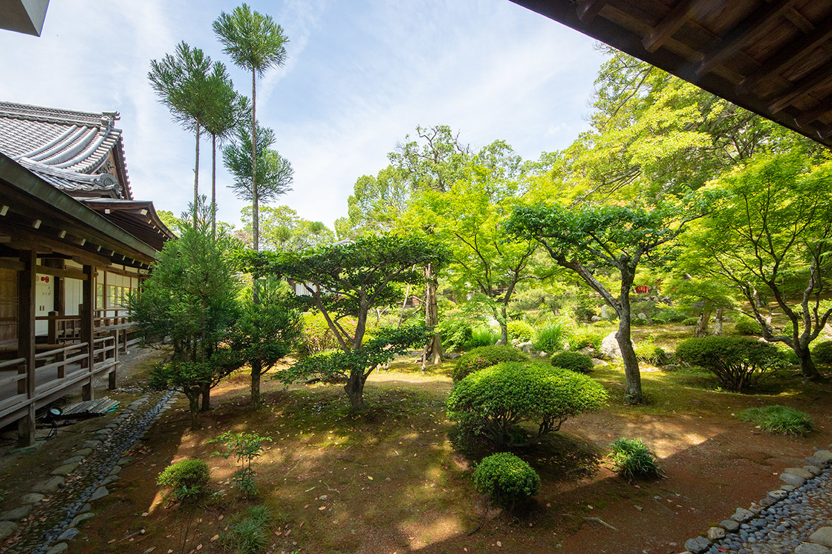 京都嵯峨野大覚寺（旧嵯峨御所）