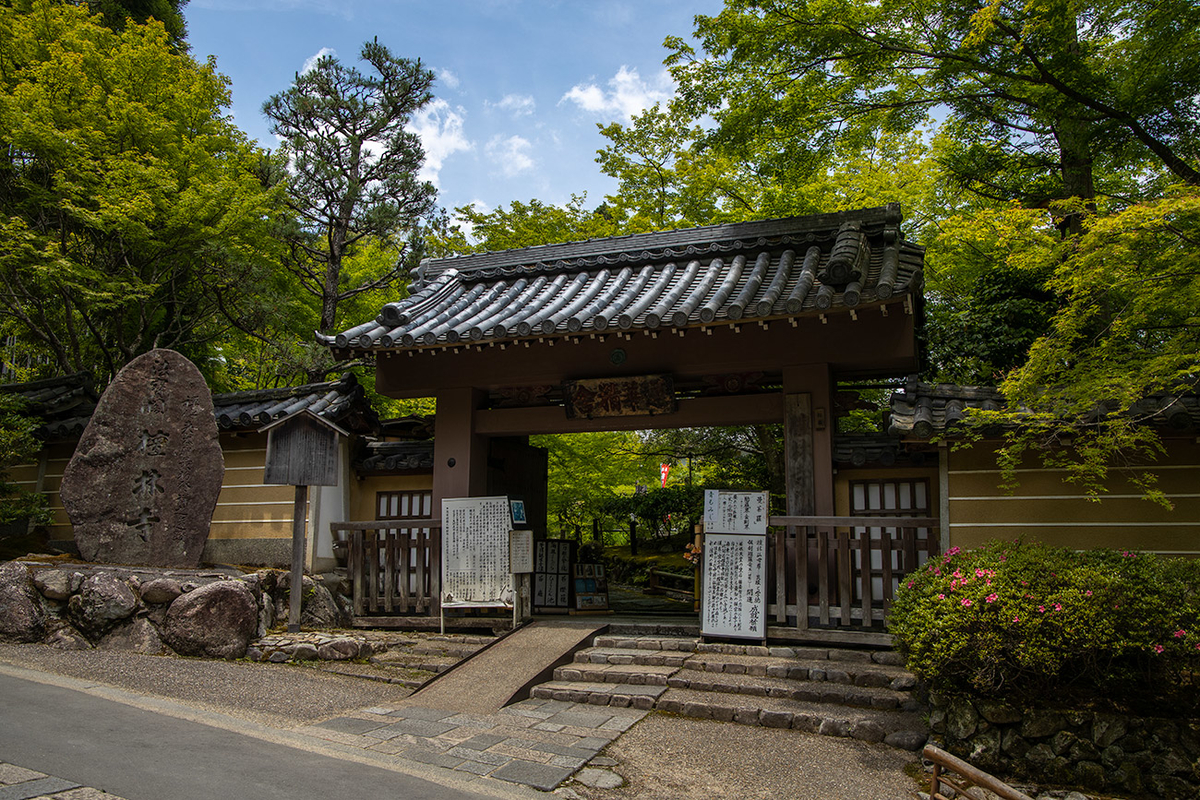 モリアオガエルの産卵、京都嵯峨野檀林寺