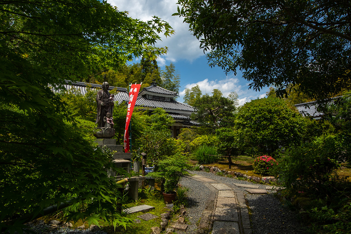 モリアオガエルの産卵、京都嵯峨野檀林寺