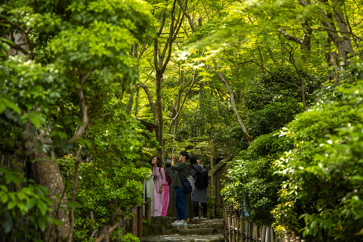 祇王寺