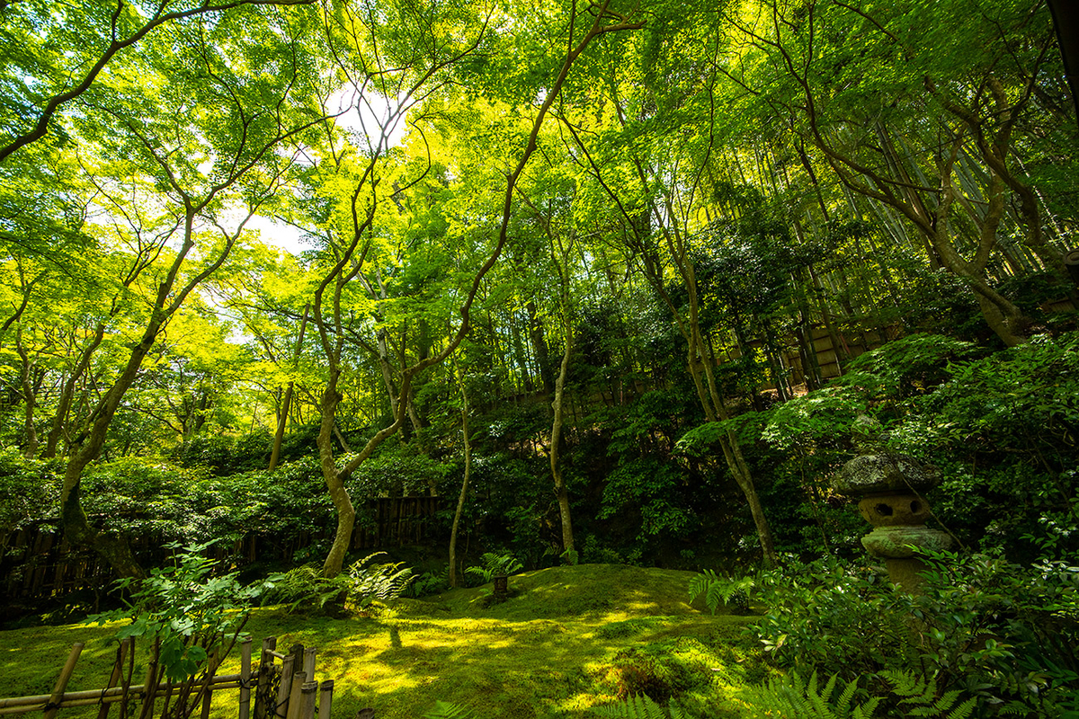 祇王寺