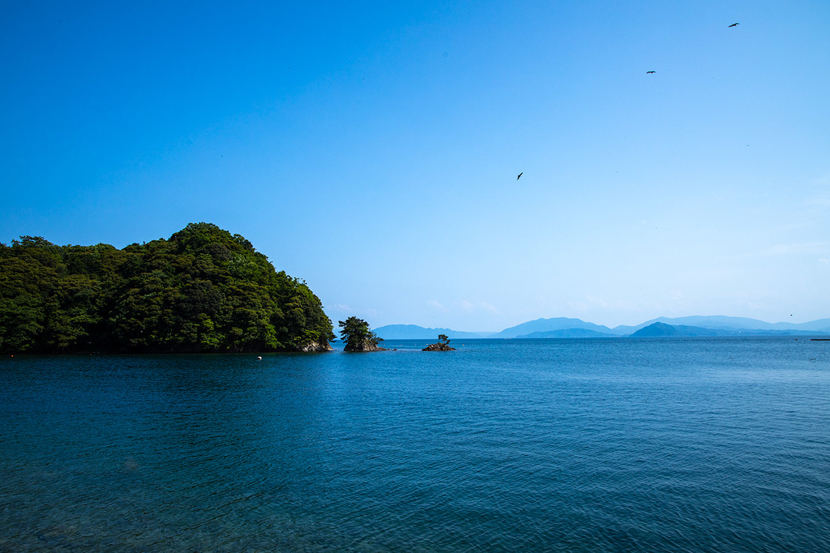 f:id:kumakumakoara:20190610223230j:plain