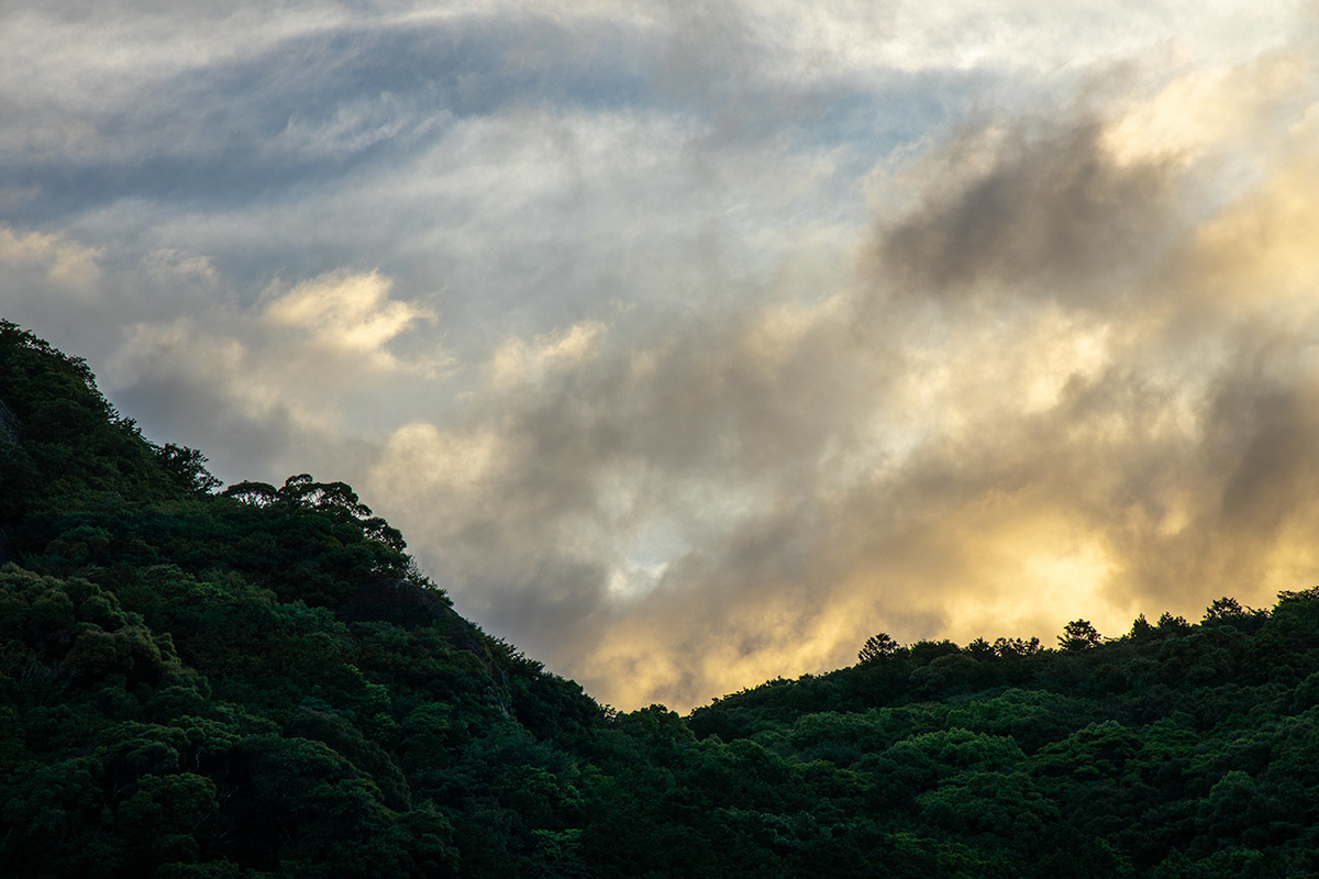 f:id:kumakumakoara:20190616201437j:plain