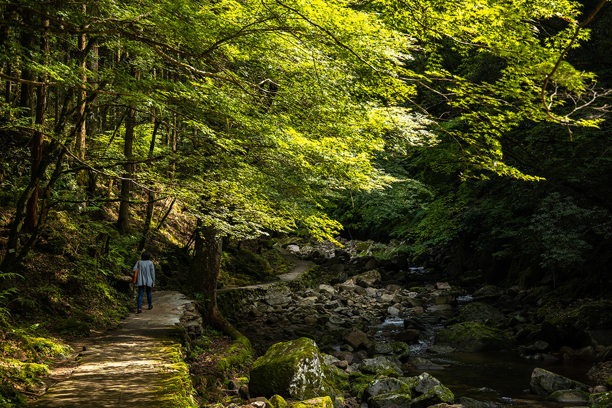 三重県赤目四十八滝